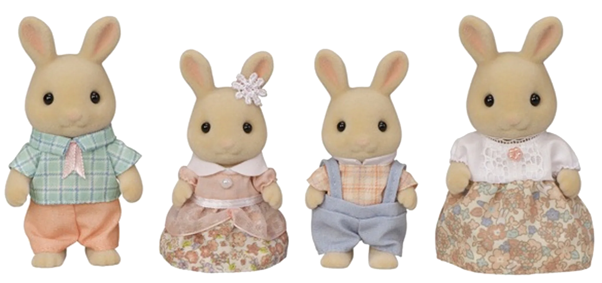 Periwinkle Family.
